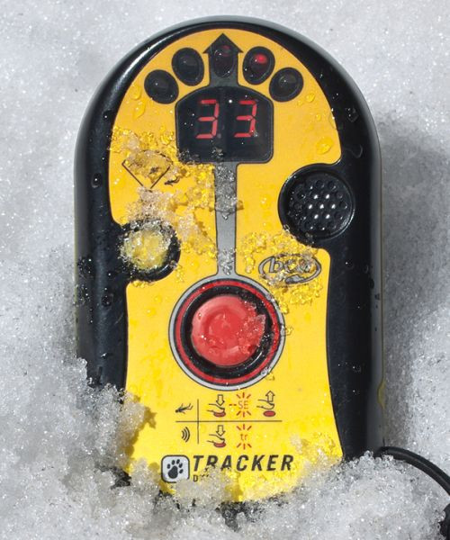 BCA Tracker DTS