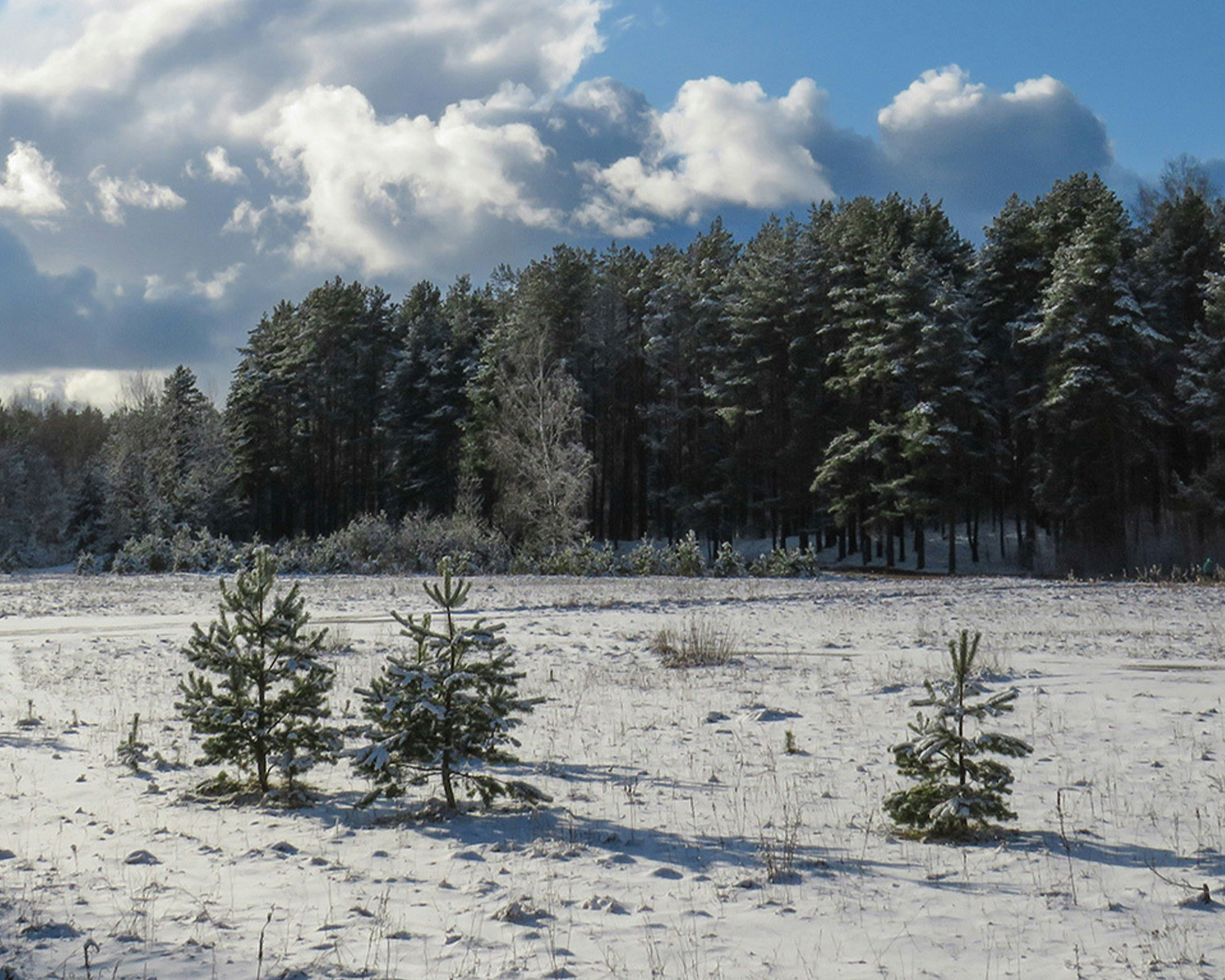 Beyond Winter: The Hidden Dangers of Spring Avalanches