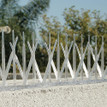 Plastic Bird Spikes
