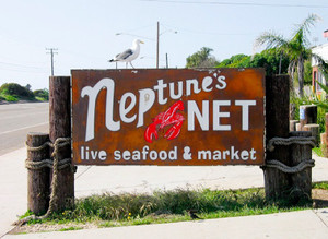 California Bird Control