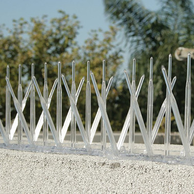 Plastic Bird Spikes