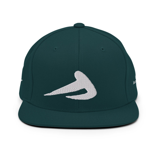 Snapback Marked WL 2714