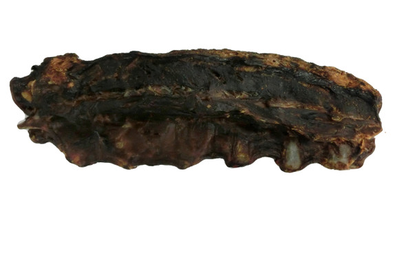 Natural Kangaroo Tail Long Lasting Treat