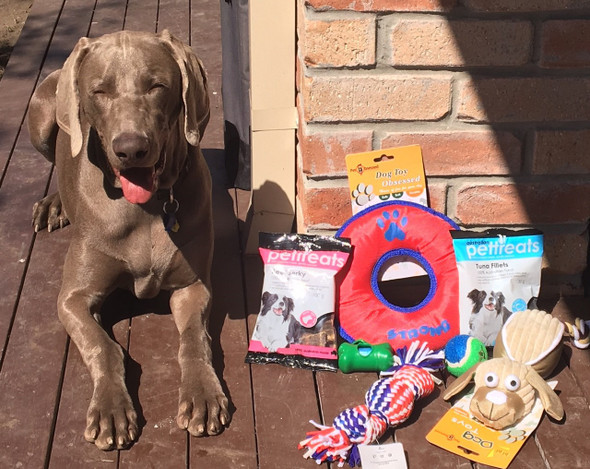 Pro 600 Electric Toothbrush with Cross Action Bristles, Rechargeable