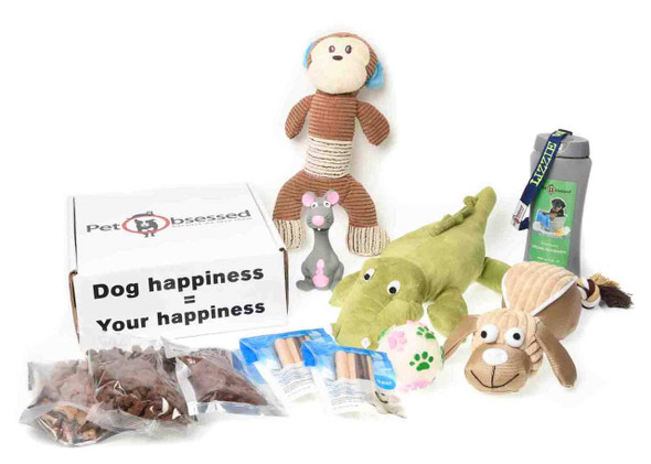 Argan Oil of Morocco Shampoo and Conditioner Combo Box, 400 ml + 400 ml