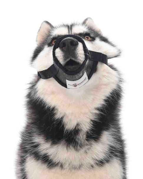 Cream SPF30: Regenerist Microsculpting