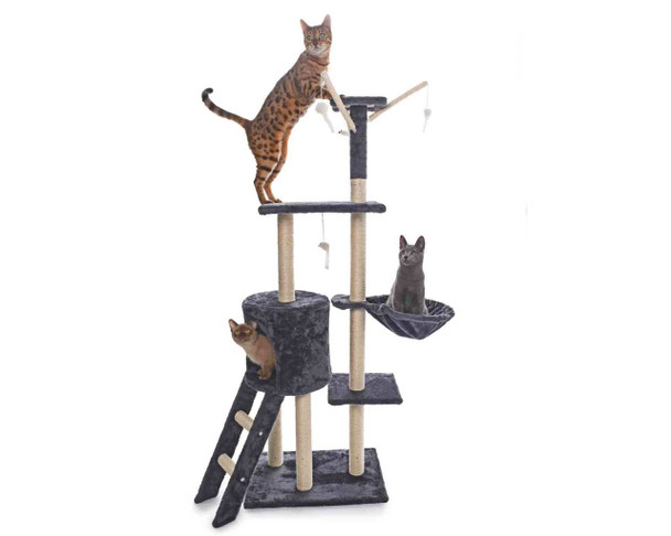 Regenerist Whip SPF30