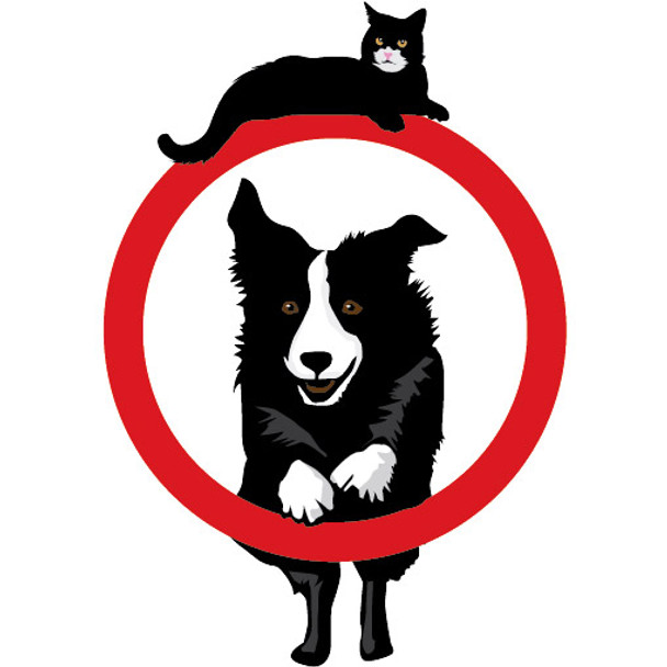 Braun Air Styler AS110