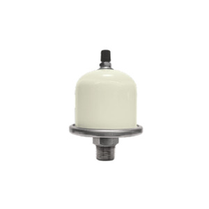 HGTE-1 0.4 Gallon Potable Expansion Tank