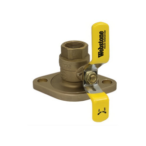 2" NPT x Pump Flange