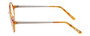 Side View of Eyebob Hexed Hex Designer Reading Glasses Orange Crystal Horn Marble Silver 48mm