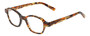 Profile View of Eyebobs Haute Flash Designer Single Vision Prescription Rx Eyeglasses in Tortoise Brown Gold Orange Crystal Ladies Square Full Rim Acetate 46 mm