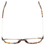 Top View of Eyebob Schmoozer Designer Reading Glasses Tortoise Havana Brown Gold Silver 52mm