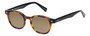 Profile View of Eyebobs Bitty Witty Designer Polarized Reading Sunglasses with Custom Cut Powered Amber Brown Lenses in Tortoise Havana Brown Gold Ladies Round Full Rim Acetate 42 mm