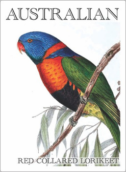 RED COLLARED LORIKEET