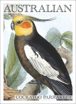 COCKATOO PARRAKEET