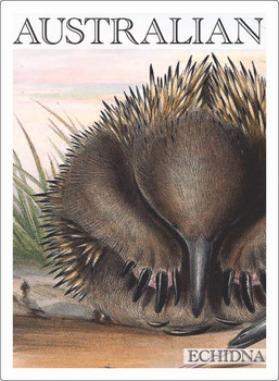 ECHIDNA POSTCARDS ECHIDNA POSTCARDS