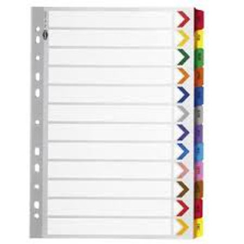 Dividers Jan-Dec Plastic Tab Coloured A4  Dividers Jan-Dec Plastic Tab Coloured A4