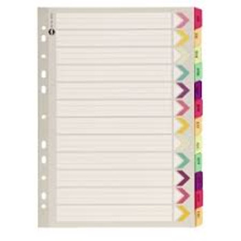 Dividers Jan-Dec Plastic Tab Fluoro A4  Dividers Jan-Dec Plastic Tab Fluoro A4