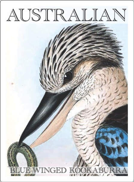 BLUE WINGED