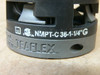 Teaflex Nmpt-C 36-1-1/4'' (Straight) K8-M-S-36P36 Fitting