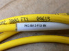 Turck Picofast Molded Cordset Pkg 4M-2-Psw 4M