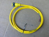 Brad/Woodhead 104002A03f060 4P Male Straight Cable Used