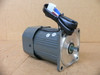 Vtv Motor Co Ltd. Yn90-60 Helical Gear Motor
