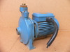 Calpeda Nm 2/Ae Pump 50Hz 220/240Vac 380/415Vac 0601187862
