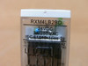Schneider Electric Rxm4lb2bd 24Vdc Miniature Intermediate Relay