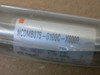 Smc Ncdmb075-0100C-X6009 Ncdmb0750100cx6009     Ncm     Air Cylinder