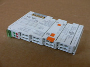 Wago 750-461 2-Channel Analog Input Module