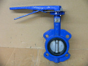 Ifc Dn80 Ss316 Disc Butterfly Valve With 416 Ss Stem And Nbr Seat 3"