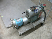 Waukesha T-02-06 D065614-Ss 1/2Hp Reeves Stainless Steel Pump