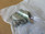 Phoenix Contact M23-12P1n8aa500s Device Connector Front Mounting Phoenix Contact M23-12P1n8aa500s Device Connector Front Mounting
