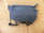 Phoenix Contact Uk5-Hes1 Terminal Block Fuse Holder Phoenix Contact Uk5-Hes1 Terminal Block Fuse Holder