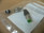 Murr Elektronik 7000-12481-0000000 7000124810000000 Field Connector M12 Axial Murr Elektronik 7000-12481-0000000 7000124810000000 Field Connector M12 Axial