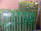 Sony Mp-Pcb 1-601-184-13 Circuit Board