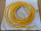 Balluff Bcc0556 Single Ended Cordset Bcc M323-0000-10-001-Ex43t2-050
