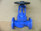 Ari Dn40 1.0619+N / Wcb Carbon Steel Globe Valve, Industrial Grade