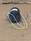 Trw Globe Ac Motor, 75A6009, 115 Vac, 3-Phase, 60 Hz Trw Globe Ac Motor, 75A6009, 115 Vac, 3-Phase, 60 Hz