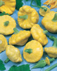 Colorful Patty Pan Mix