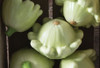 Colorful Patty Pan Mix