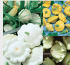 Colorful Patty Pan Mix F1