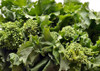 Broccoli RAAB (Spring Rapini)