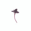Basil-Red Rubin Basil-Red Rubin