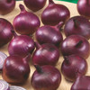Red Burgundy Red Burgundy