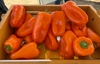 Orange Delite