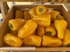 Lemon Delite