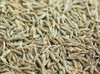Cumin Cumin